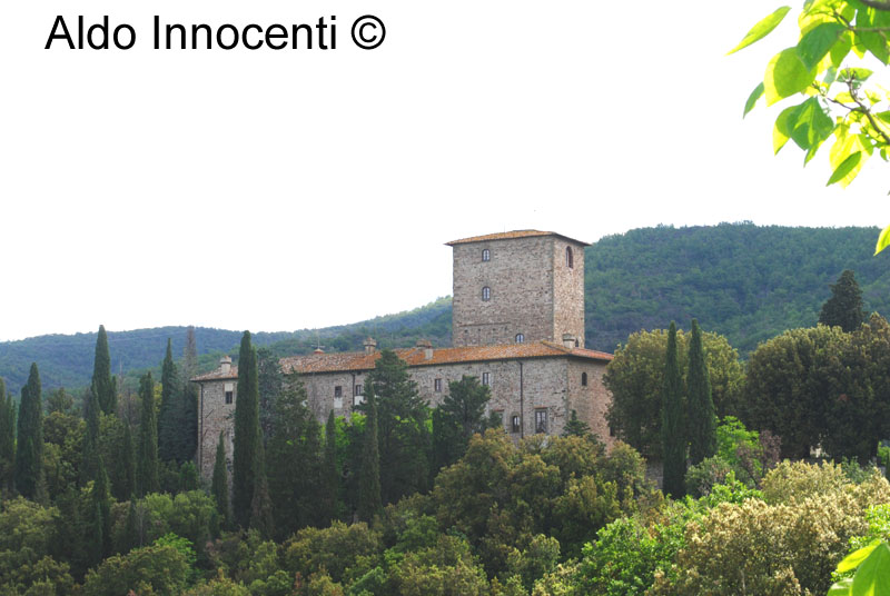 CASTELLO DI MUGNANA: CASTELLO 3' IMMAGINE